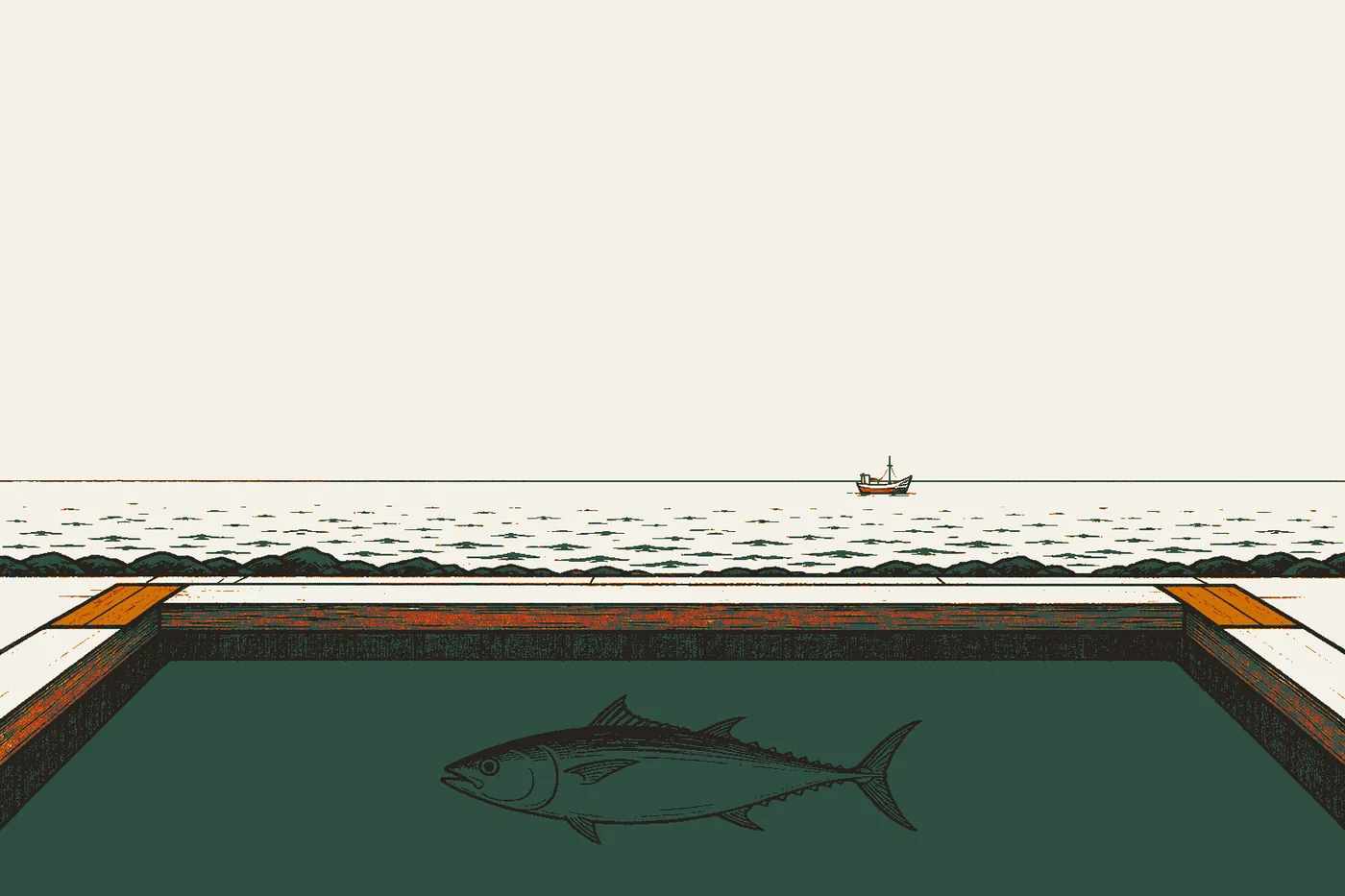 Katsuura: Tuna, a Harbour Footbath and Japan's Football Roots