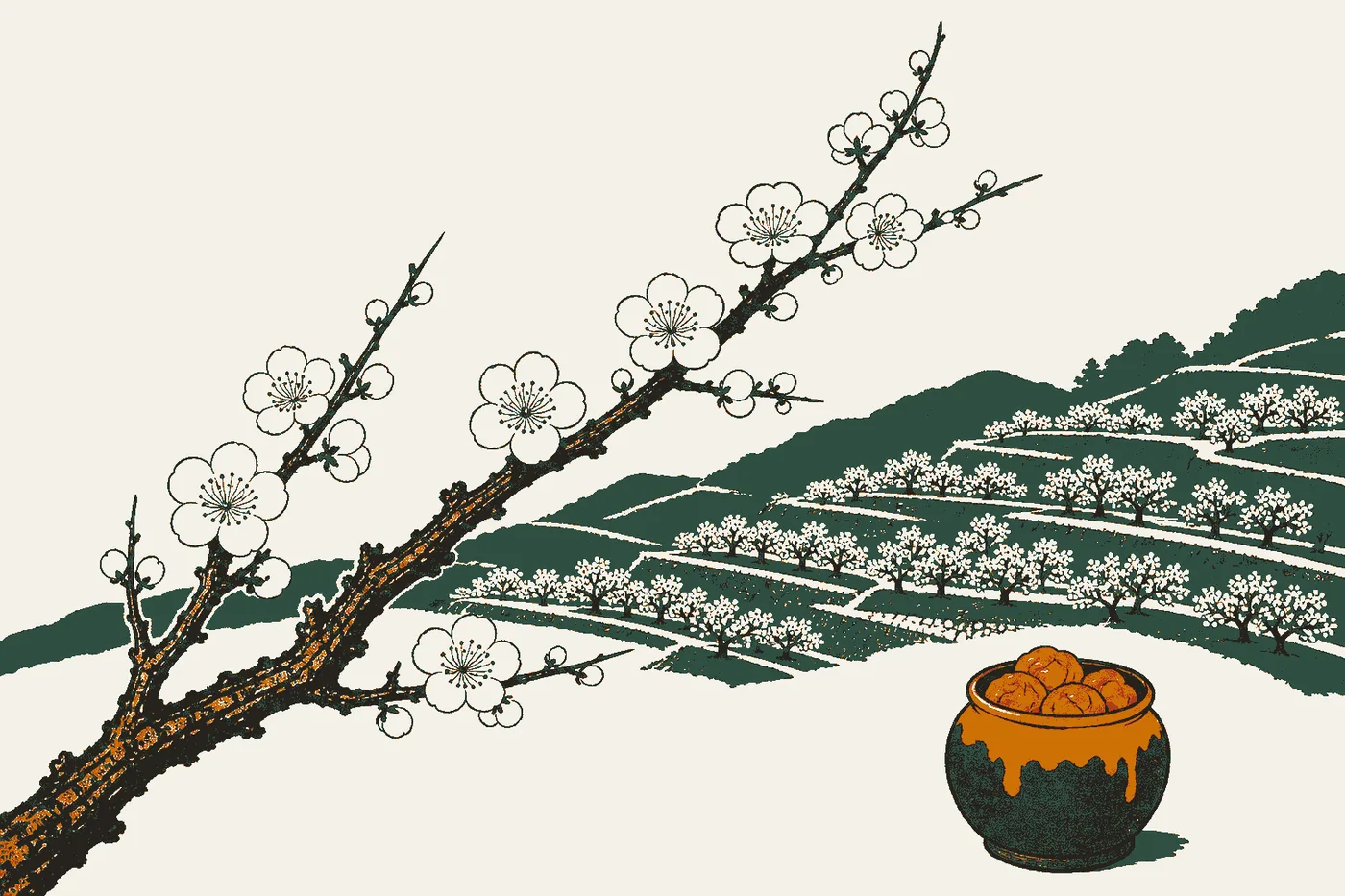 Michi-no-Eki Minabe Ume Shinkokan (aire de repos)